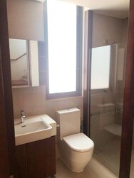 Jalan Haji Alias (D10), Terrace #457185811